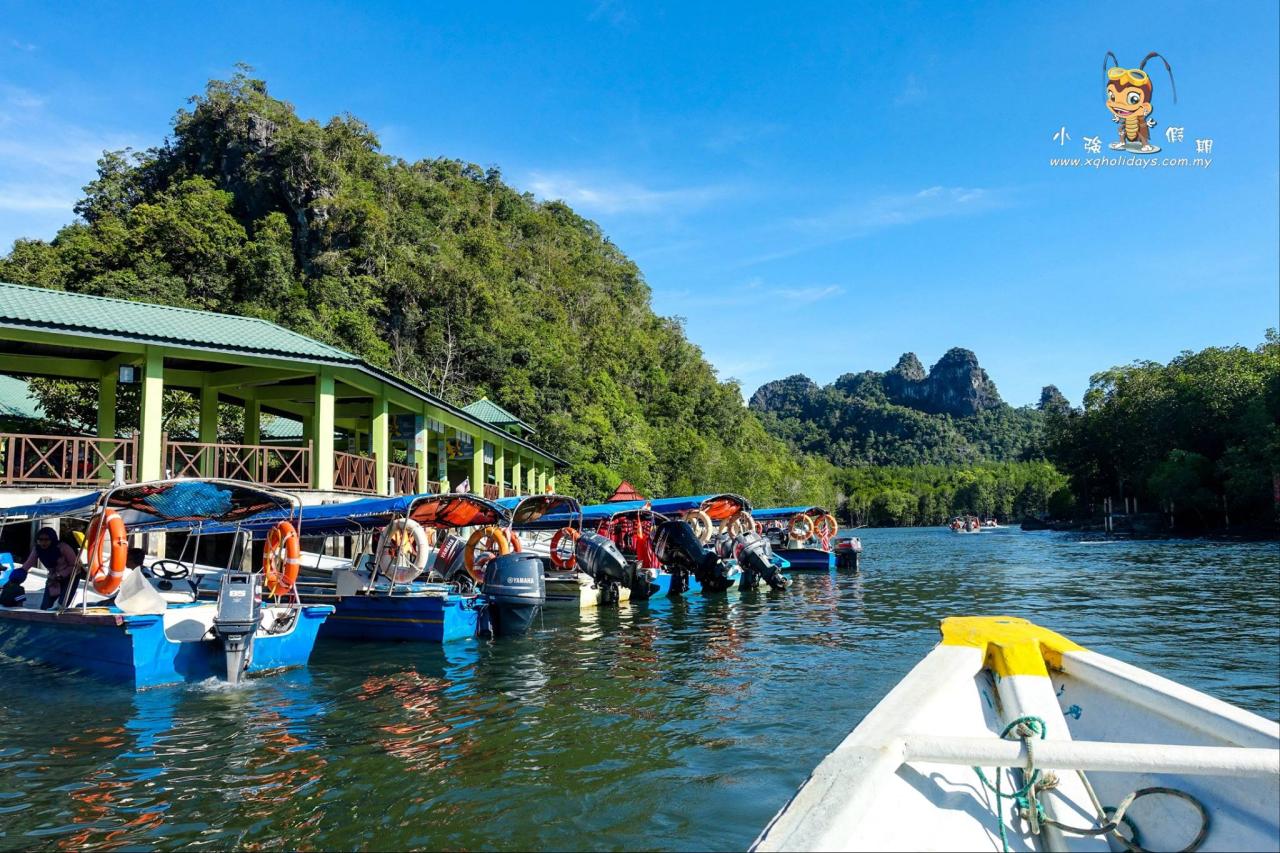 Jelajahi Keajaiban Hutan Mangrove Langkawi dengan Tur Menawan